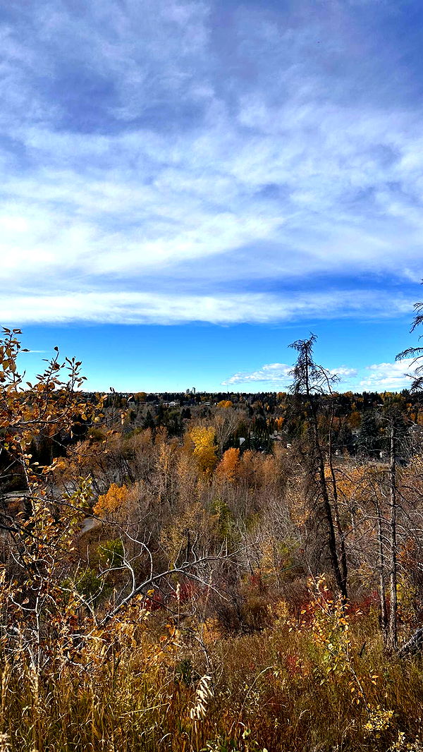 c.aitknight image ~ Altpins