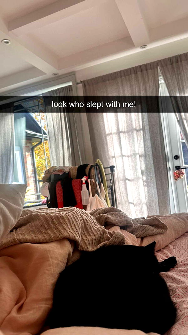 c.aitknight image ~ Altpins