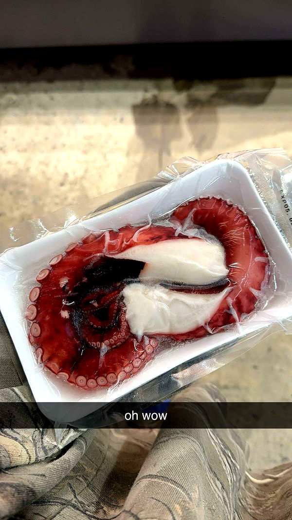 c.aitknight image ~ Altpins