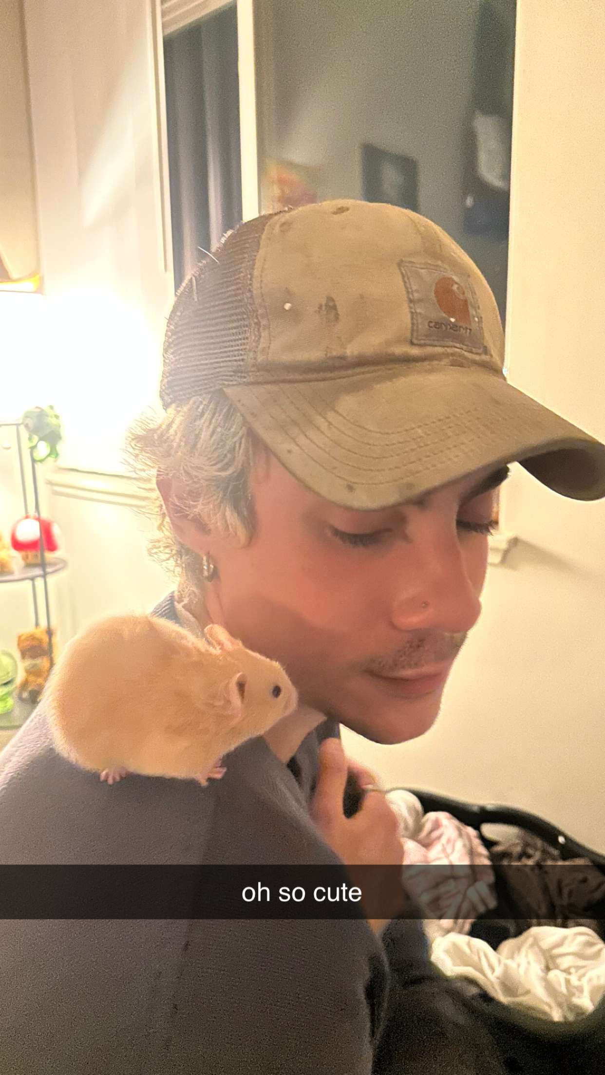 c.aitknight snapchat image archive image