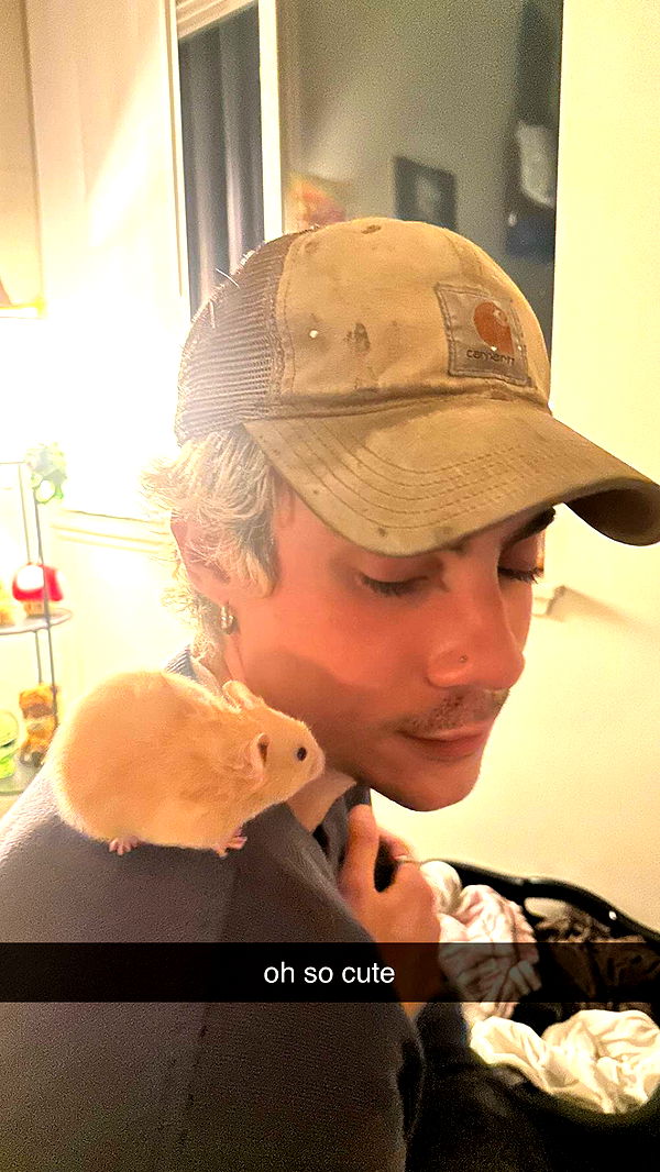 c.aitknight image ~ Altpins