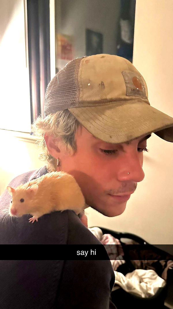 c.aitknight image ~ Altpins