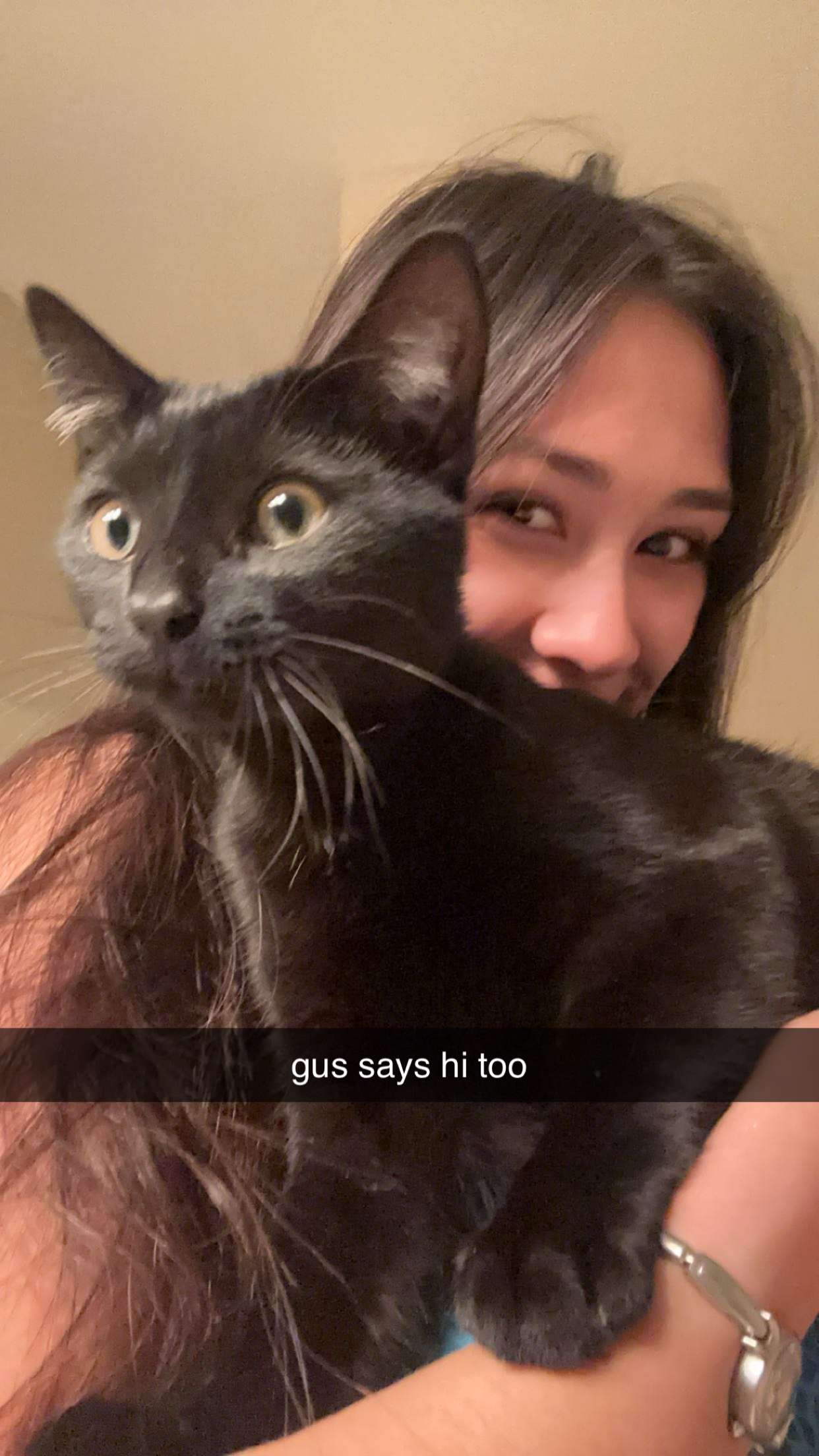 c.aitknight snapchat image archive image