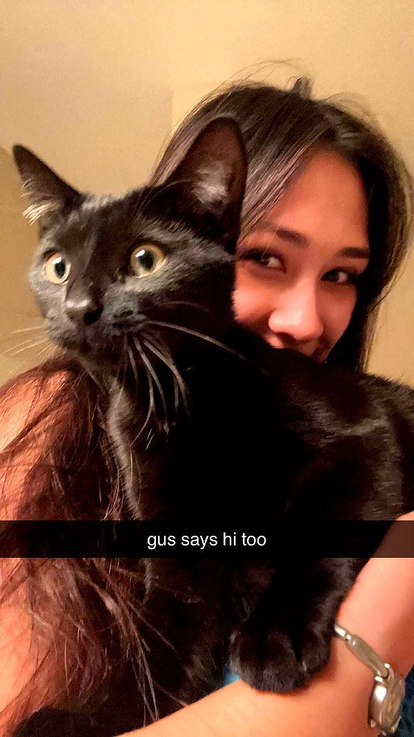 c.aitknight image ~ Altpins