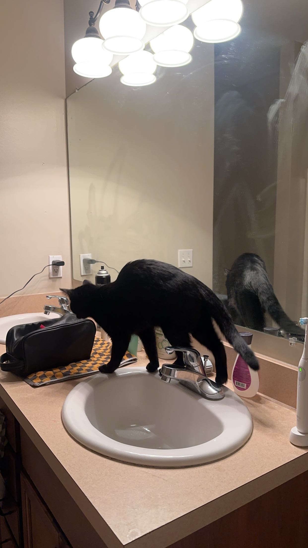 c.aitknight snapchat image archive image