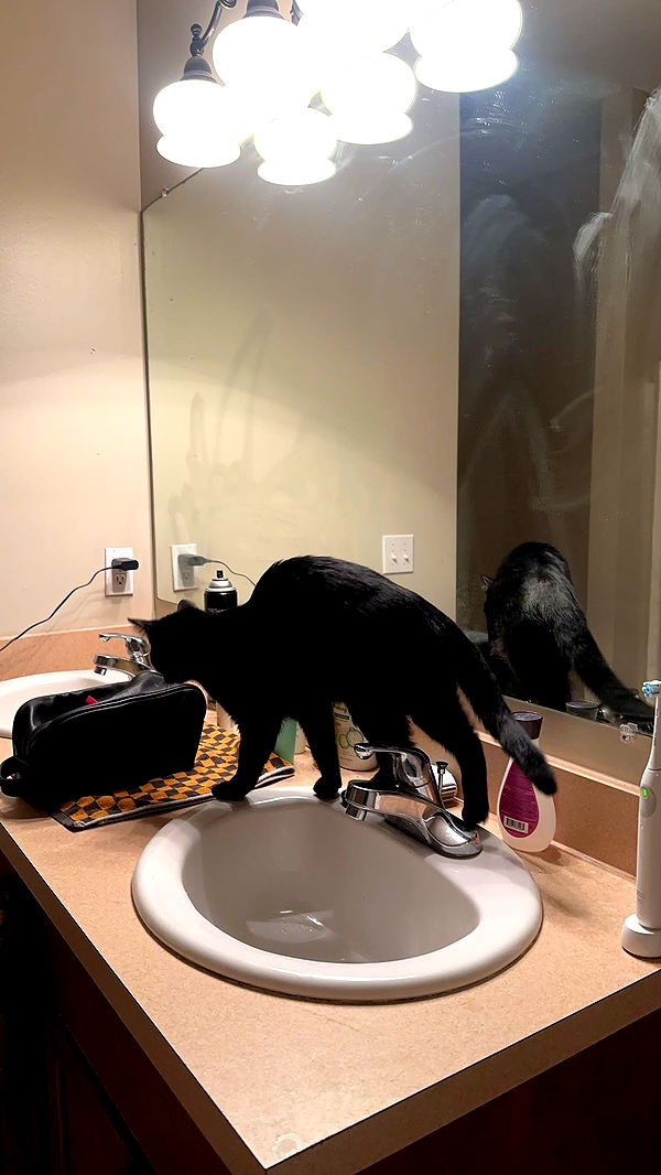 c.aitknight image ~ Altpins