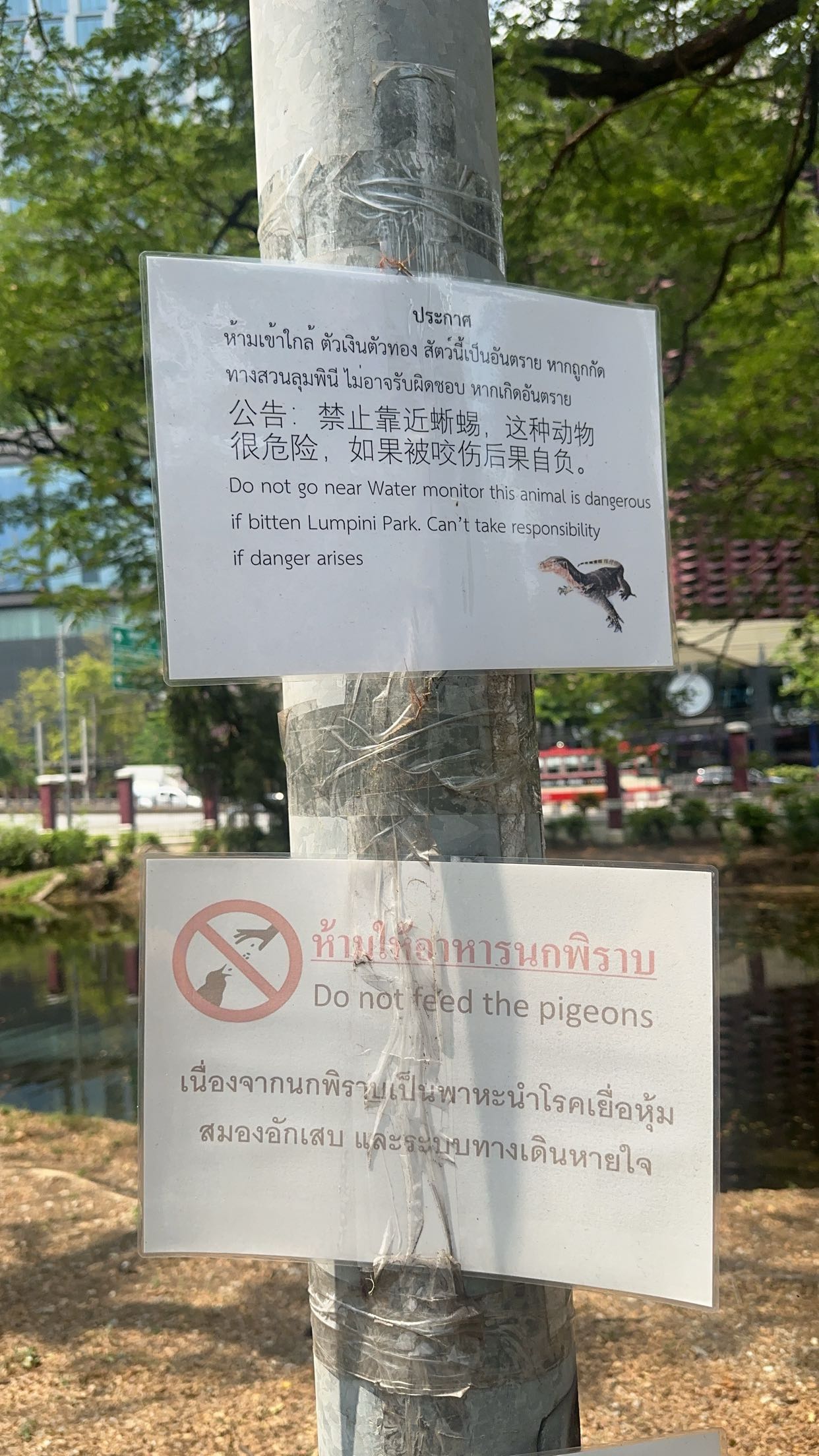 c.aitknight snapchat image archive image