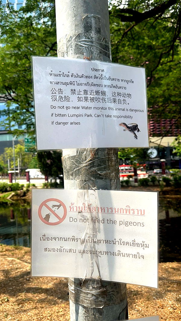 c.aitknight image ~ Altpins