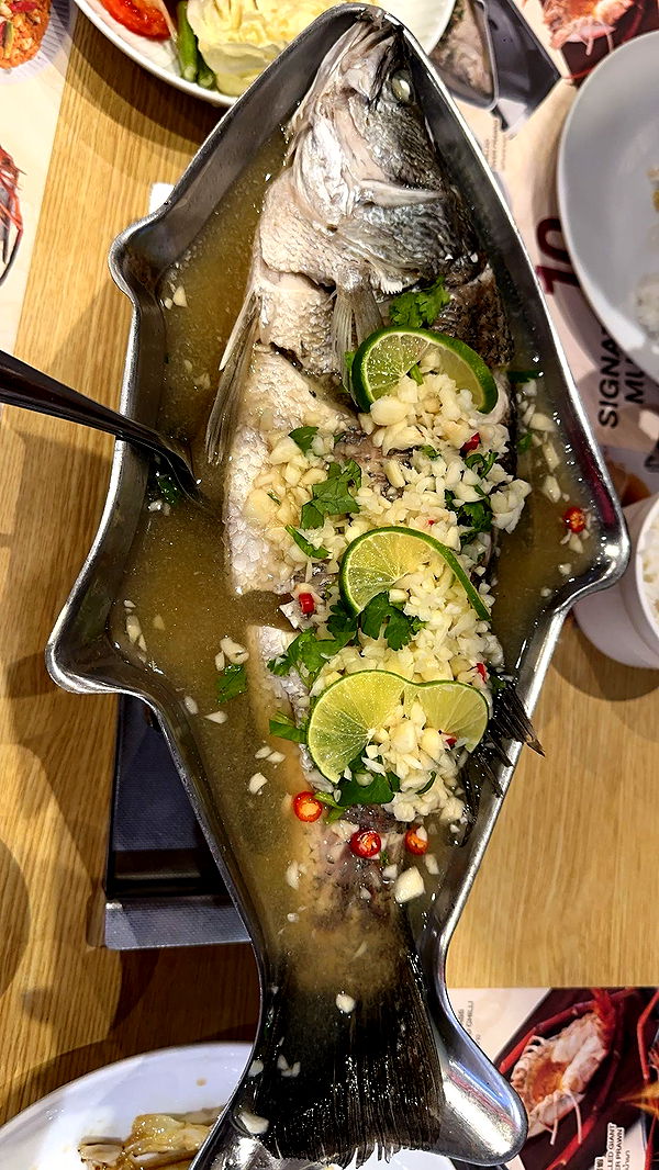 c.aitknight image ~ Altpins