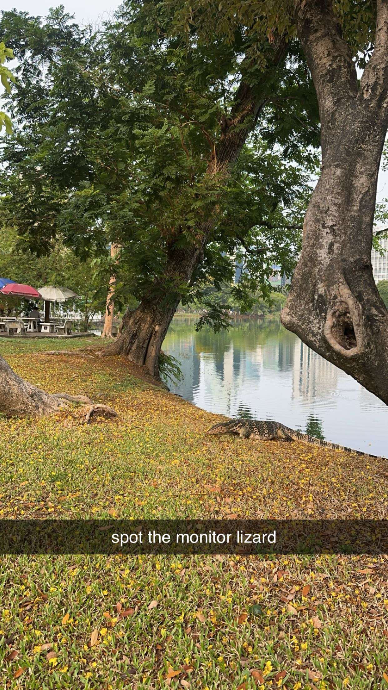 c.aitknight snapchat image archive image