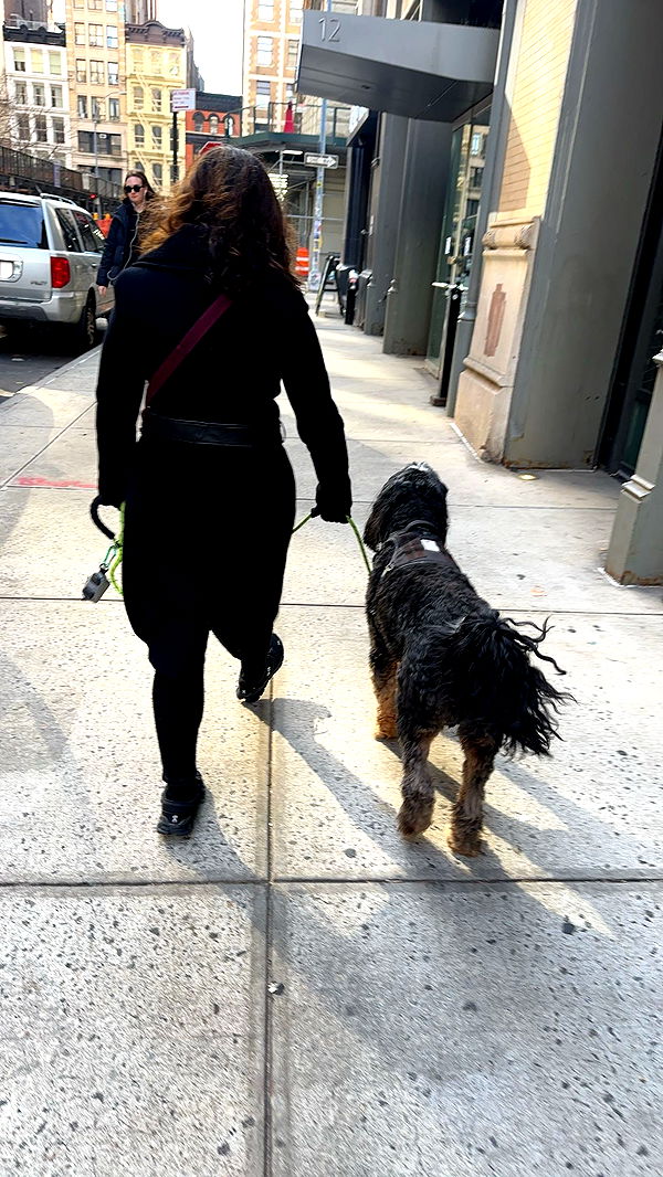 c.aitknight image ~ Altpins