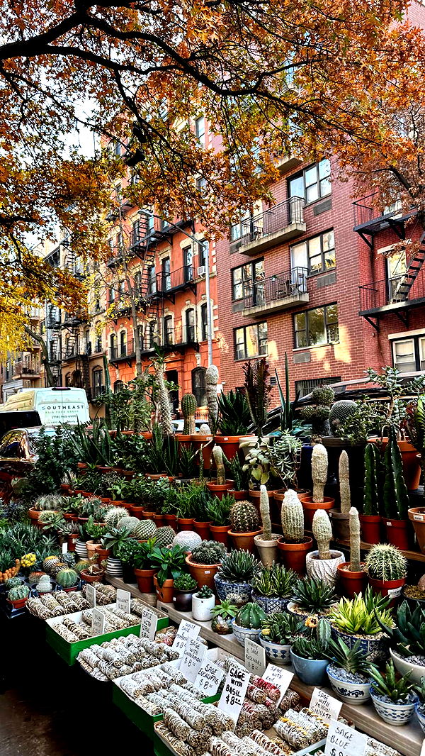 c.aitknight image ~ Altpins