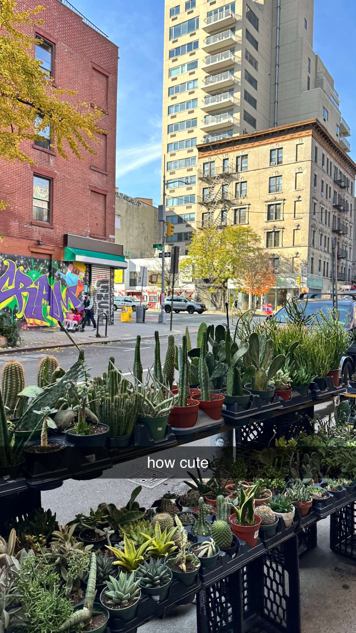 c.aitknight snapchat image archive image