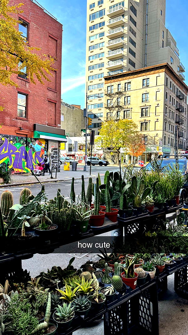 c.aitknight image ~ Altpins