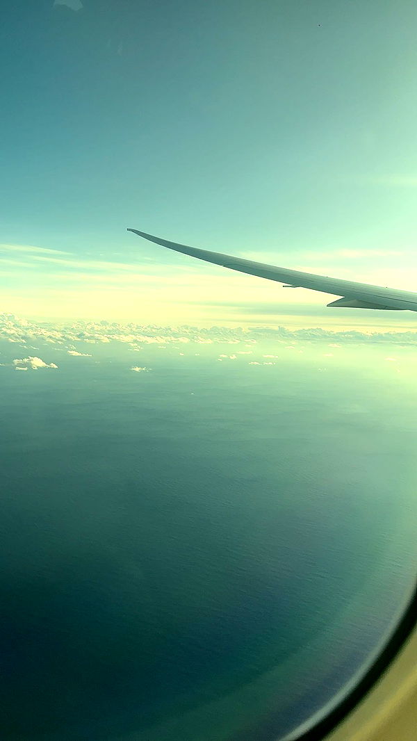 c.aitknight image ~ Altpins