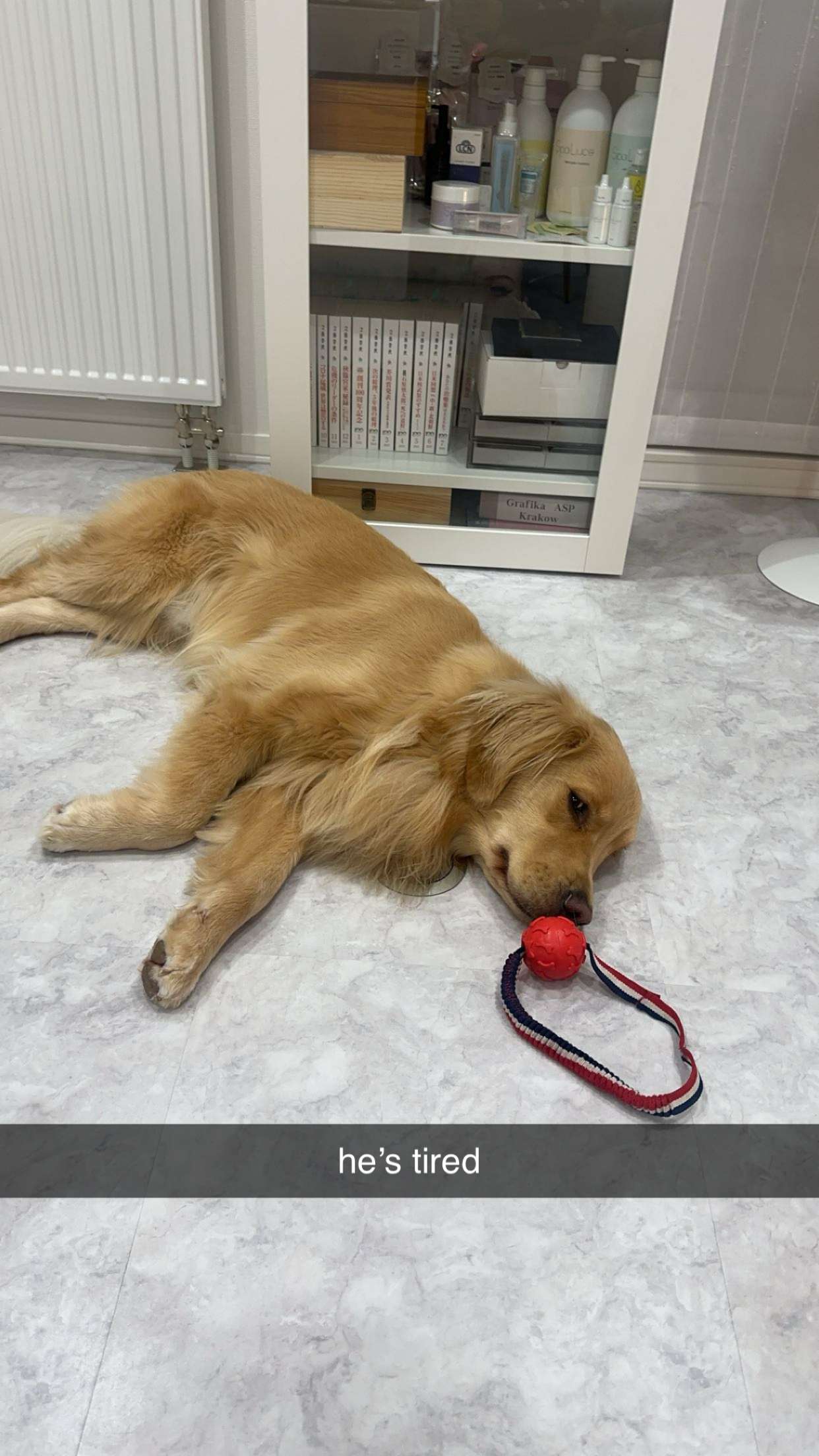 c.aitknight snapchat image archive image