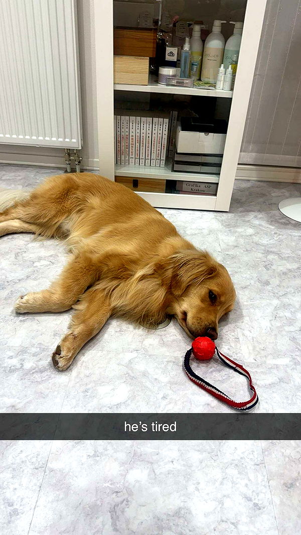 c.aitknight image ~ Altpins