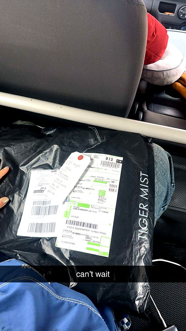 c.aitknight image ~ Altpins