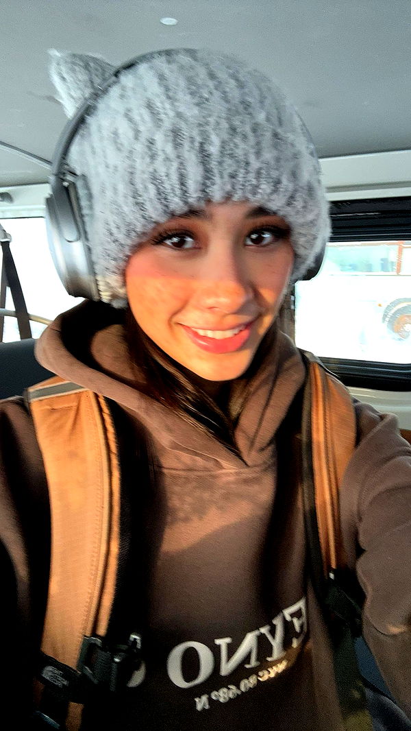 c.aitknight image ~ Altpins