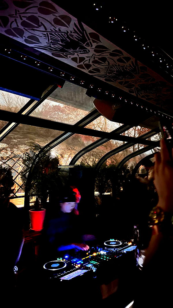 c.aitknight image ~ Altpins