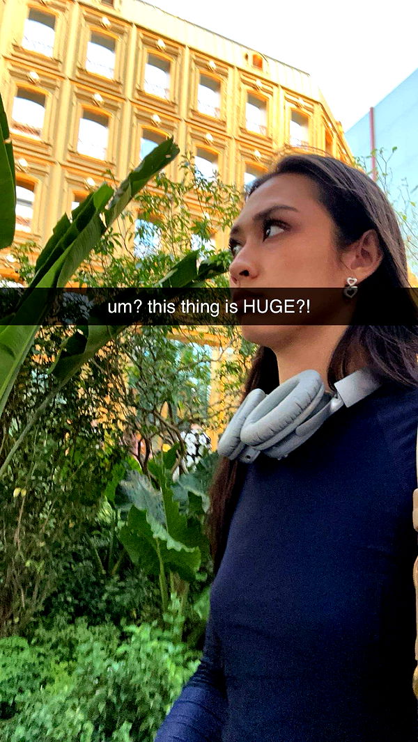 c.aitknight image ~ Altpins