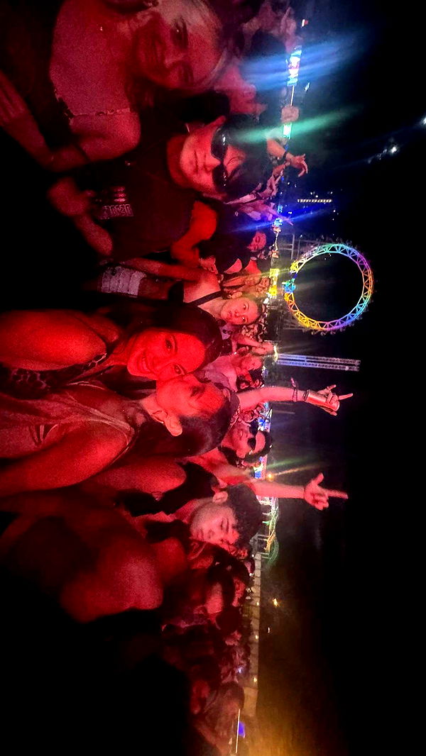 c.aitknight image ~ Altpins