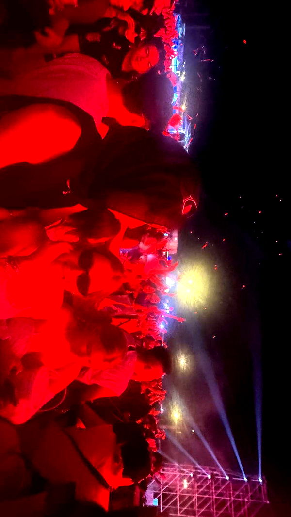 c.aitknight image ~ Altpins