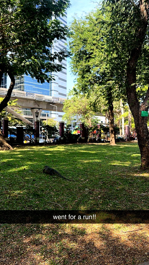 c.aitknight image ~ Altpins