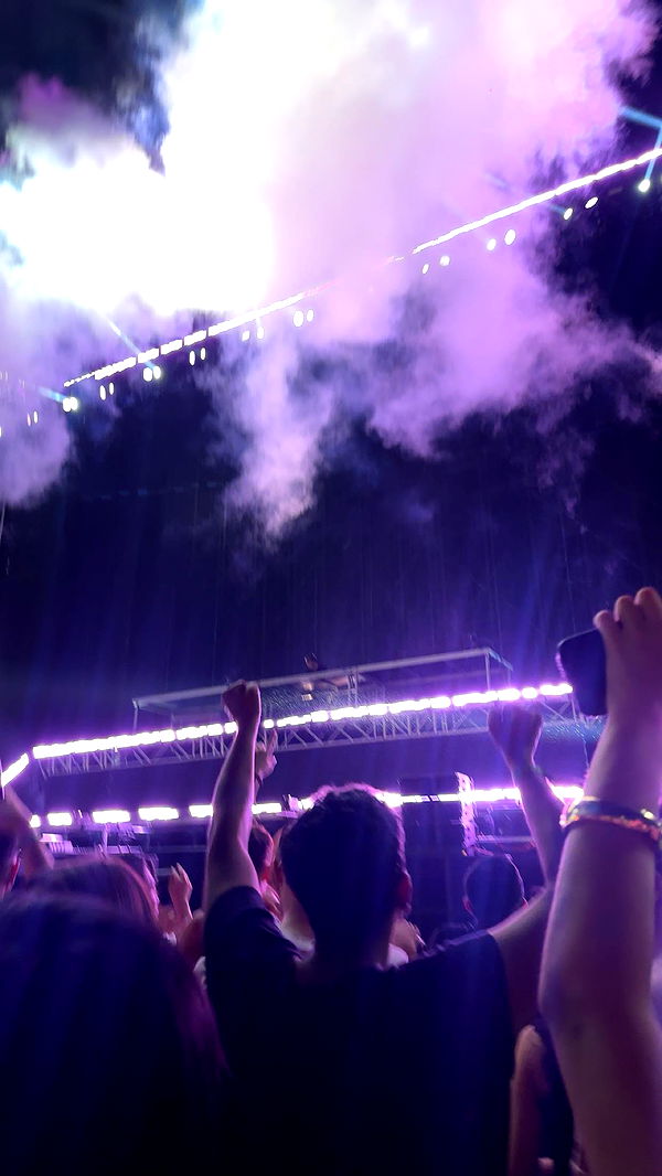 c.aitknight image ~ Altpins