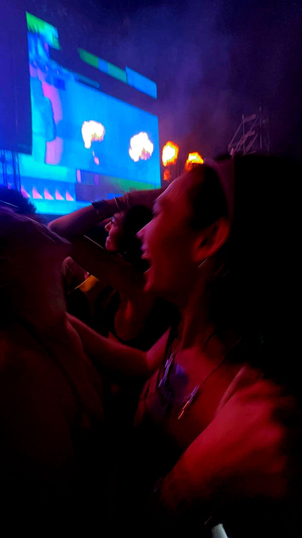 c.aitknight image ~ Altpins