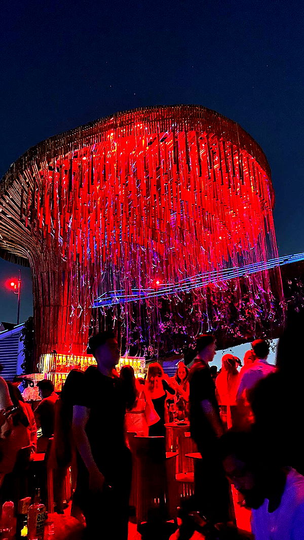 c.aitknight image ~ Altpins