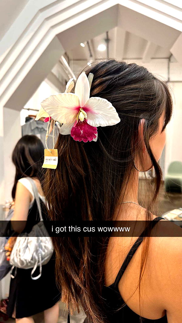 c.aitknight image ~ Altpins