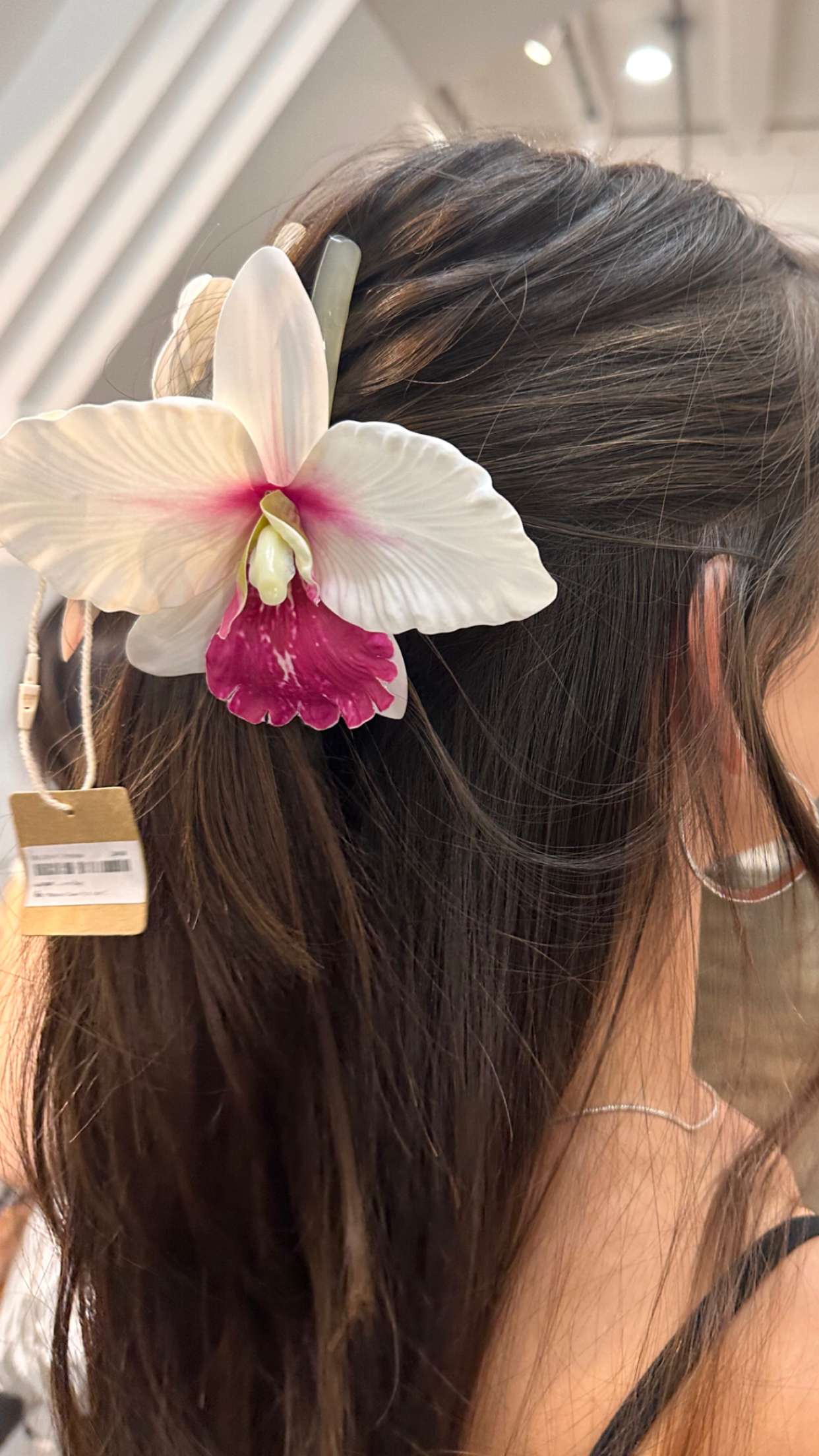 c.aitknight snapchat image archive image