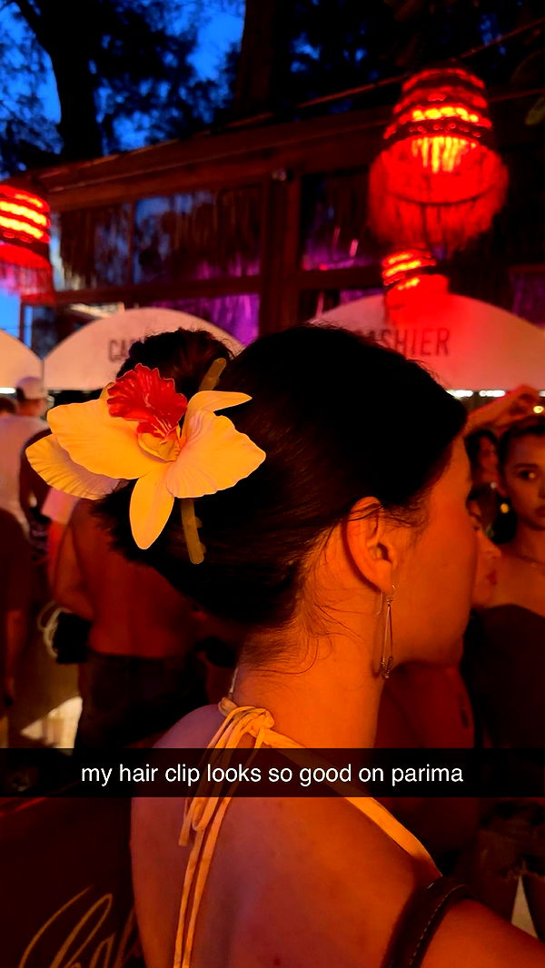 c.aitknight image ~ Altpins