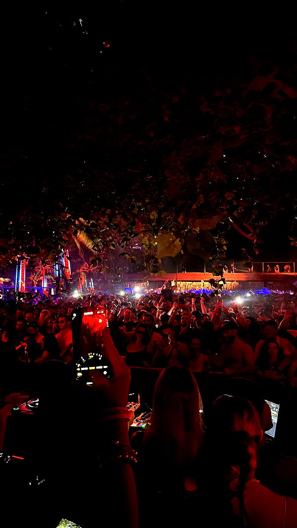 c.aitknight image ~ Altpins