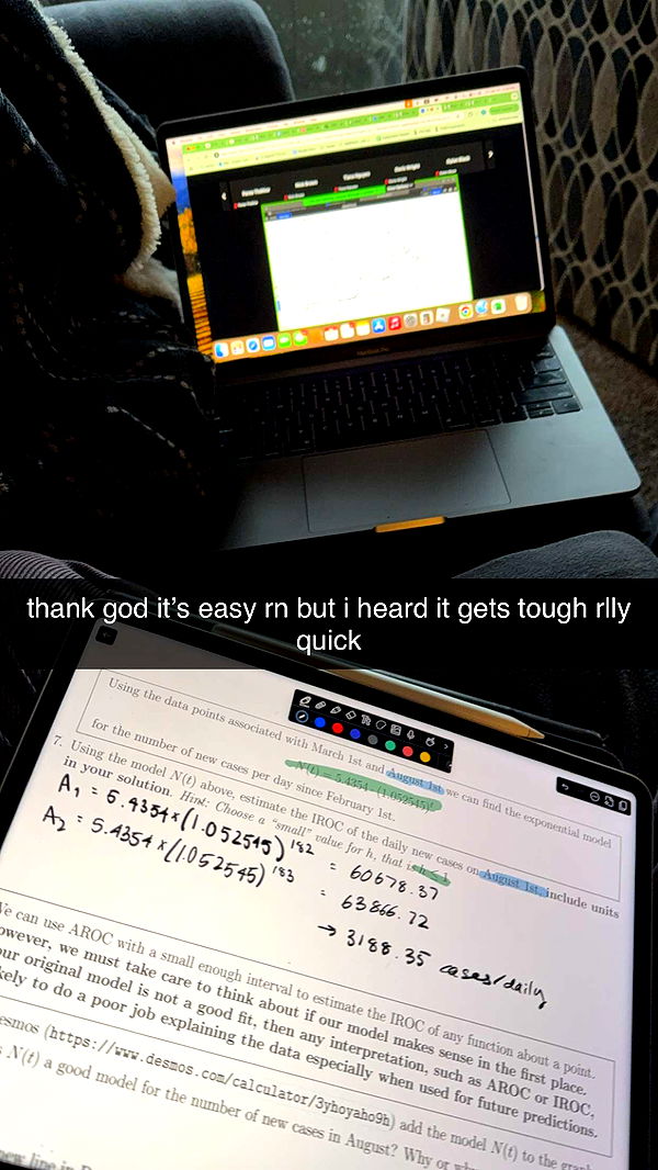 c.aitknight image ~ Altpins