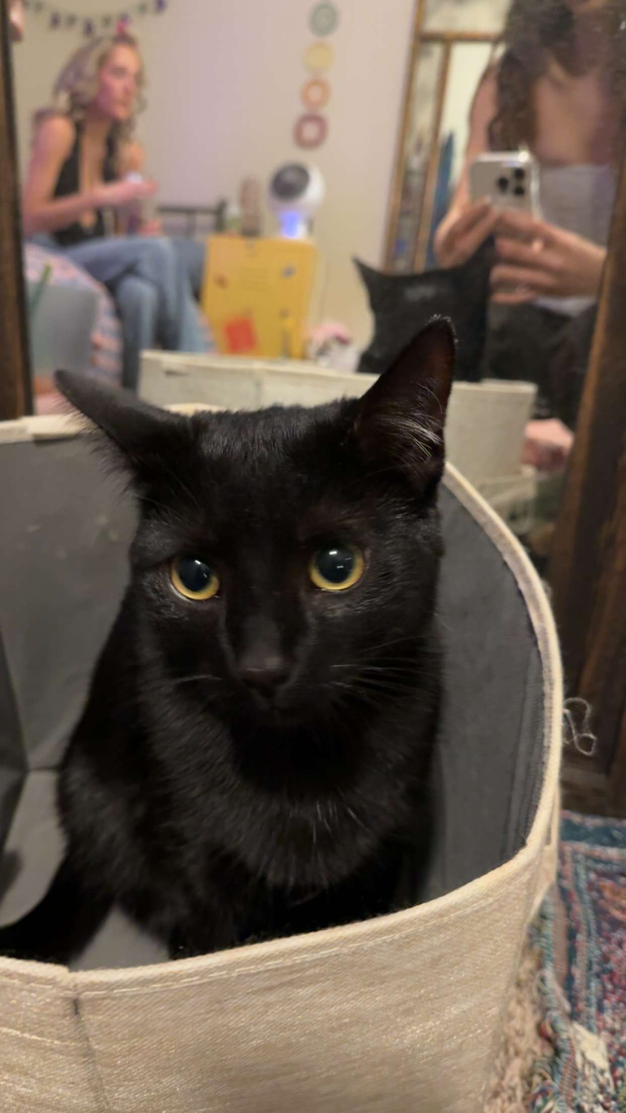 c.aitknight snapchat image archive image