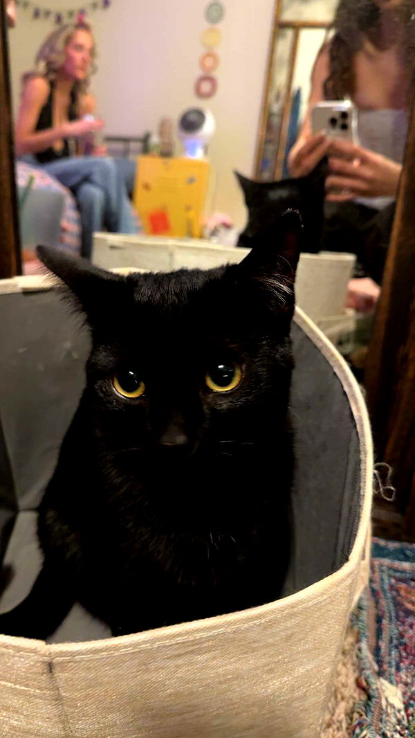 c.aitknight image ~ Altpins