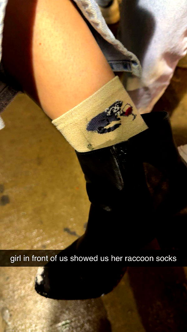 c.aitknight image ~ Altpins