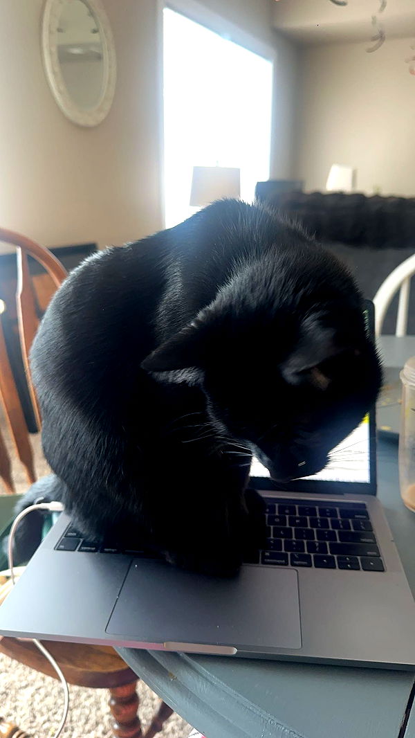 c.aitknight image ~ Altpins