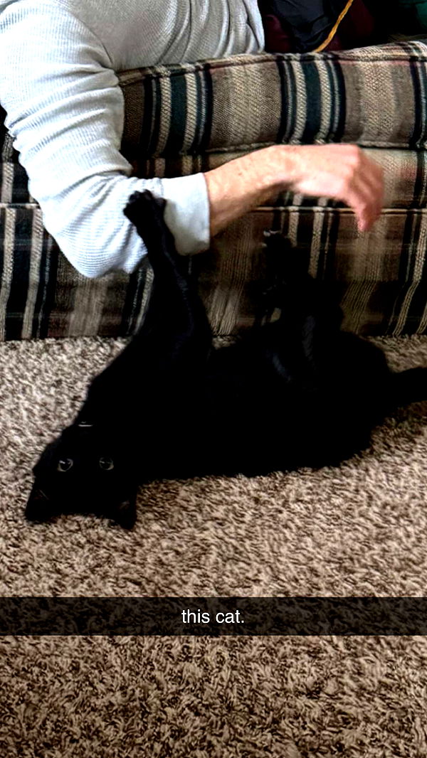 c.aitknight image ~ Altpins