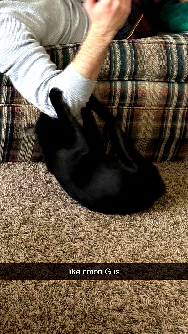 c.aitknight image ~ Altpins