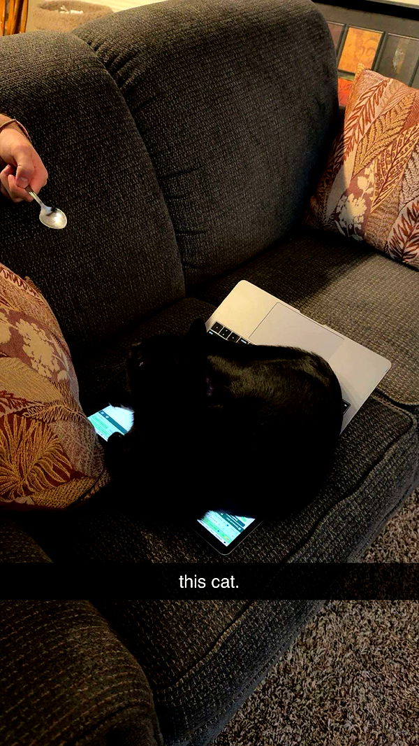 c.aitknight image ~ Altpins