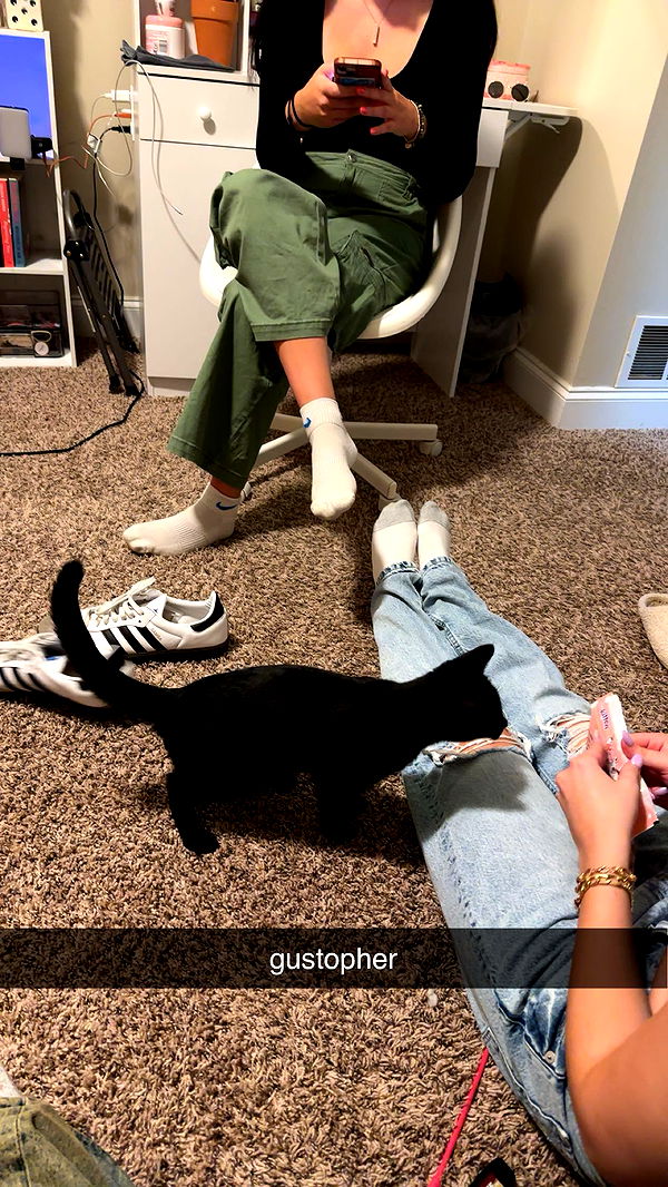 c.aitknight image ~ Altpins