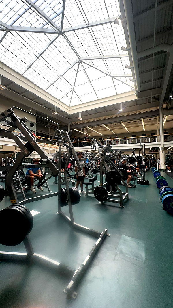 c.aitknight image ~ Altpins