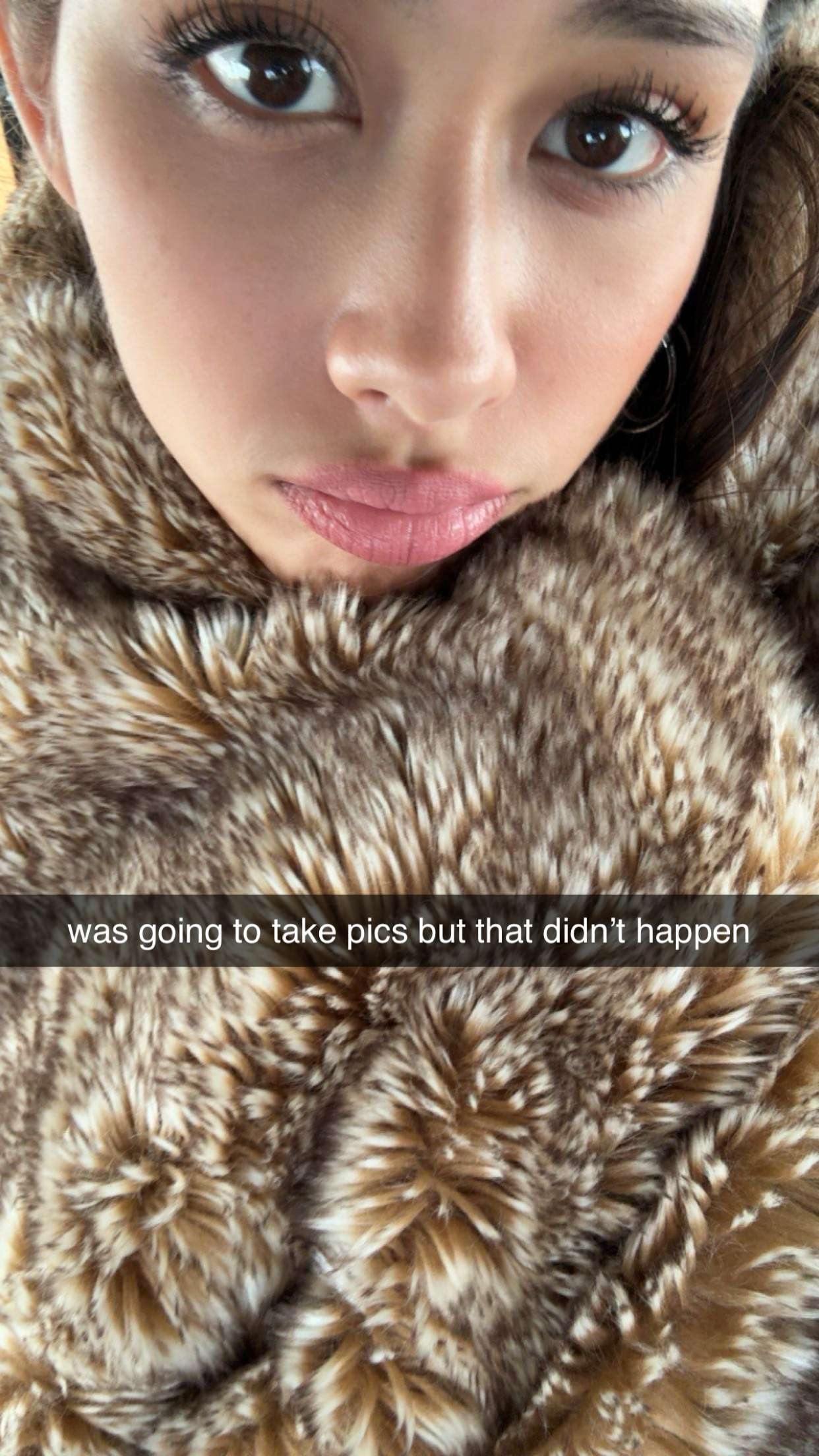 c.aitknight snapchat image archive image