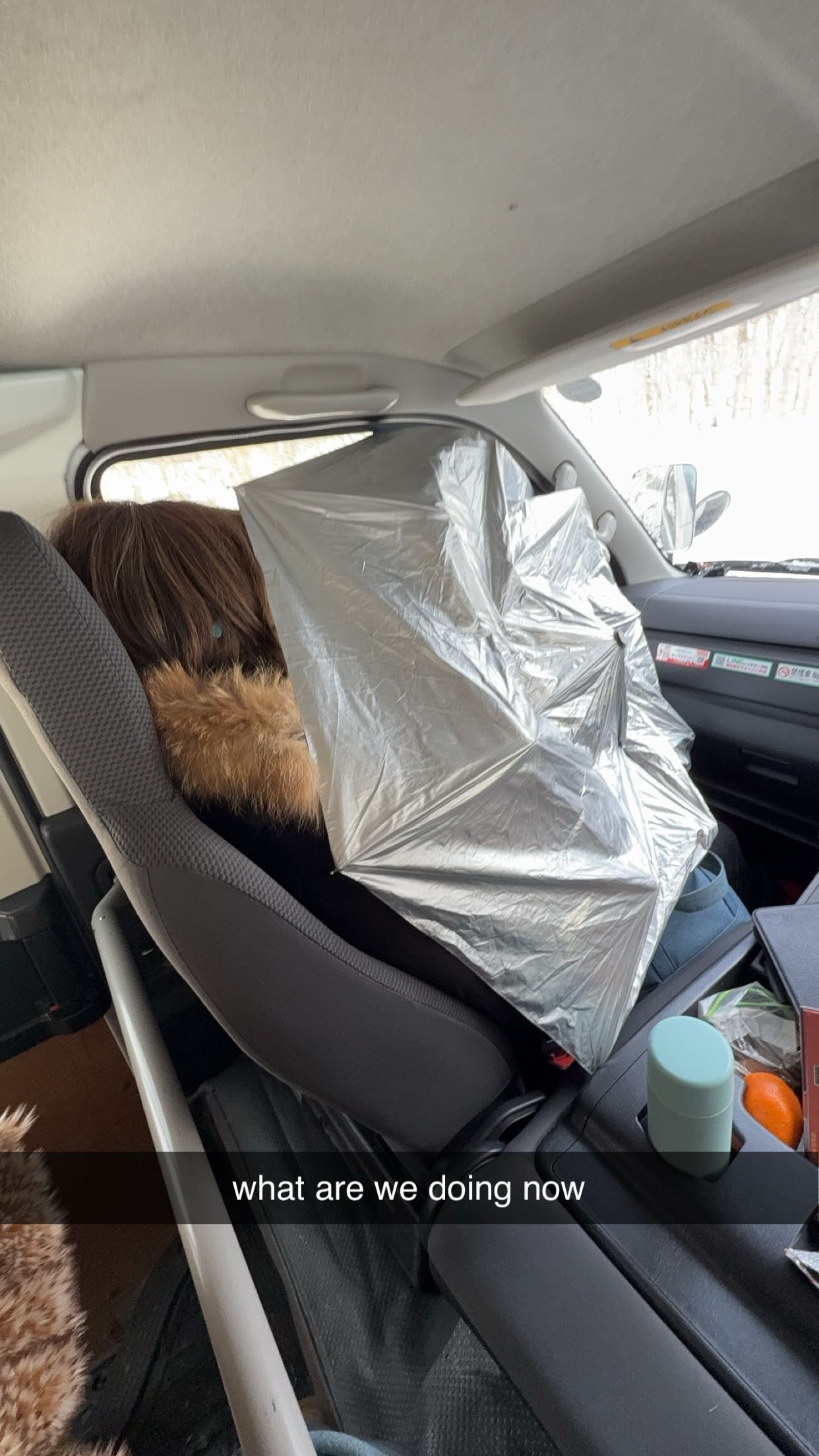 c.aitknight snapchat image archive image