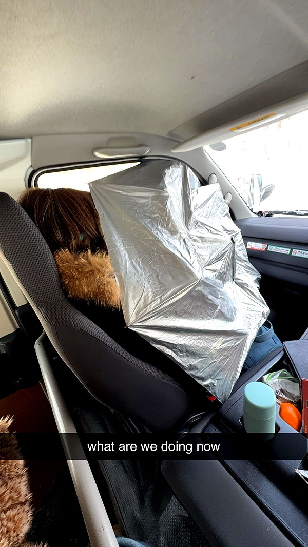 c.aitknight image ~ Altpins