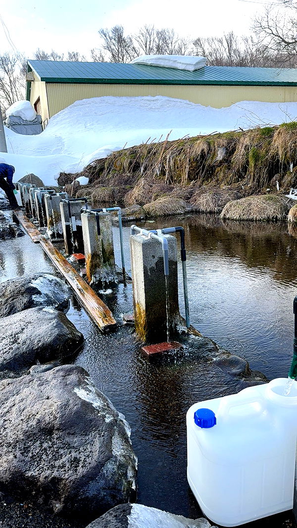 c.aitknight image ~ Altpins