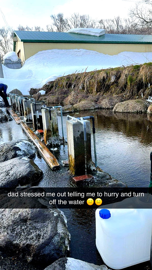 c.aitknight image ~ Altpins